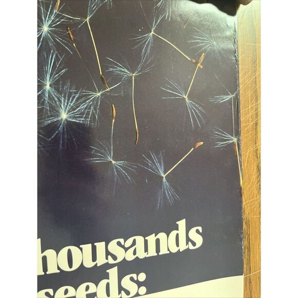 Vintage Pharmaceutical Lobbying R&D Expense Pharmacy Poster Pharmacist Promo - Picture 4 of 9